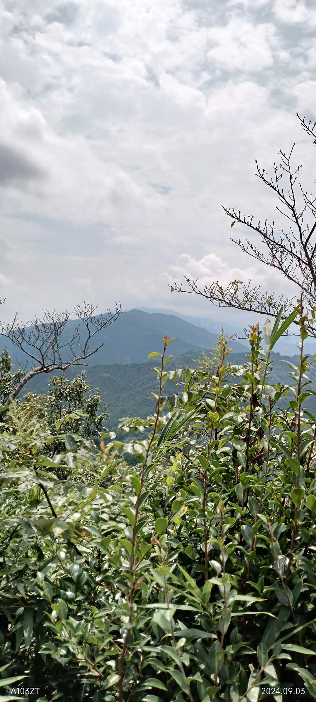 鳶塚-二上山-ながめ坂 周回コースの写真