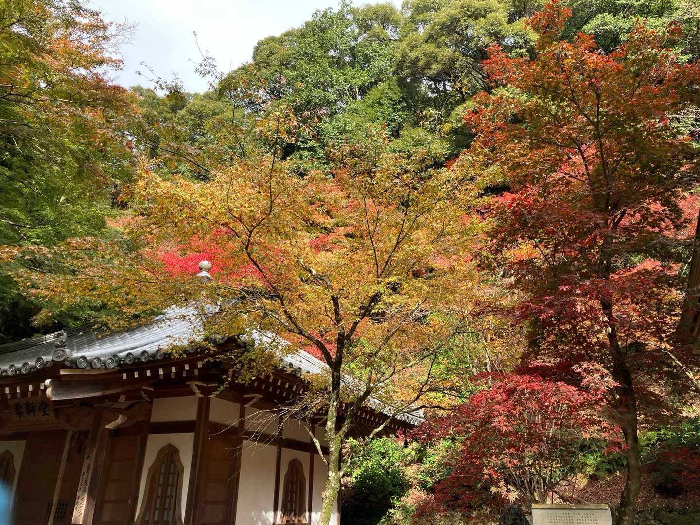 石戸山-頭光嶽 往復コースの写真