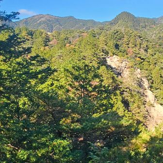 登山道の脇から鬼ヶ牙西峰と先程の展望地の岩場がよく見えます。