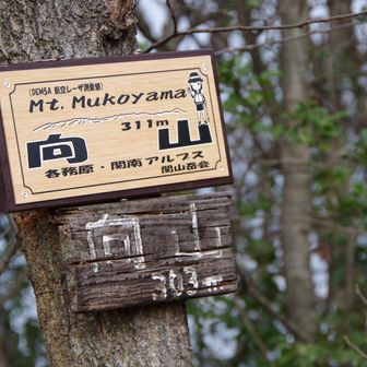 登頂！　このあたりから何か調子悪くなってきた。Tシャツだと寒いしフリース着ると暑いし