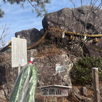 きゅうりゲット！