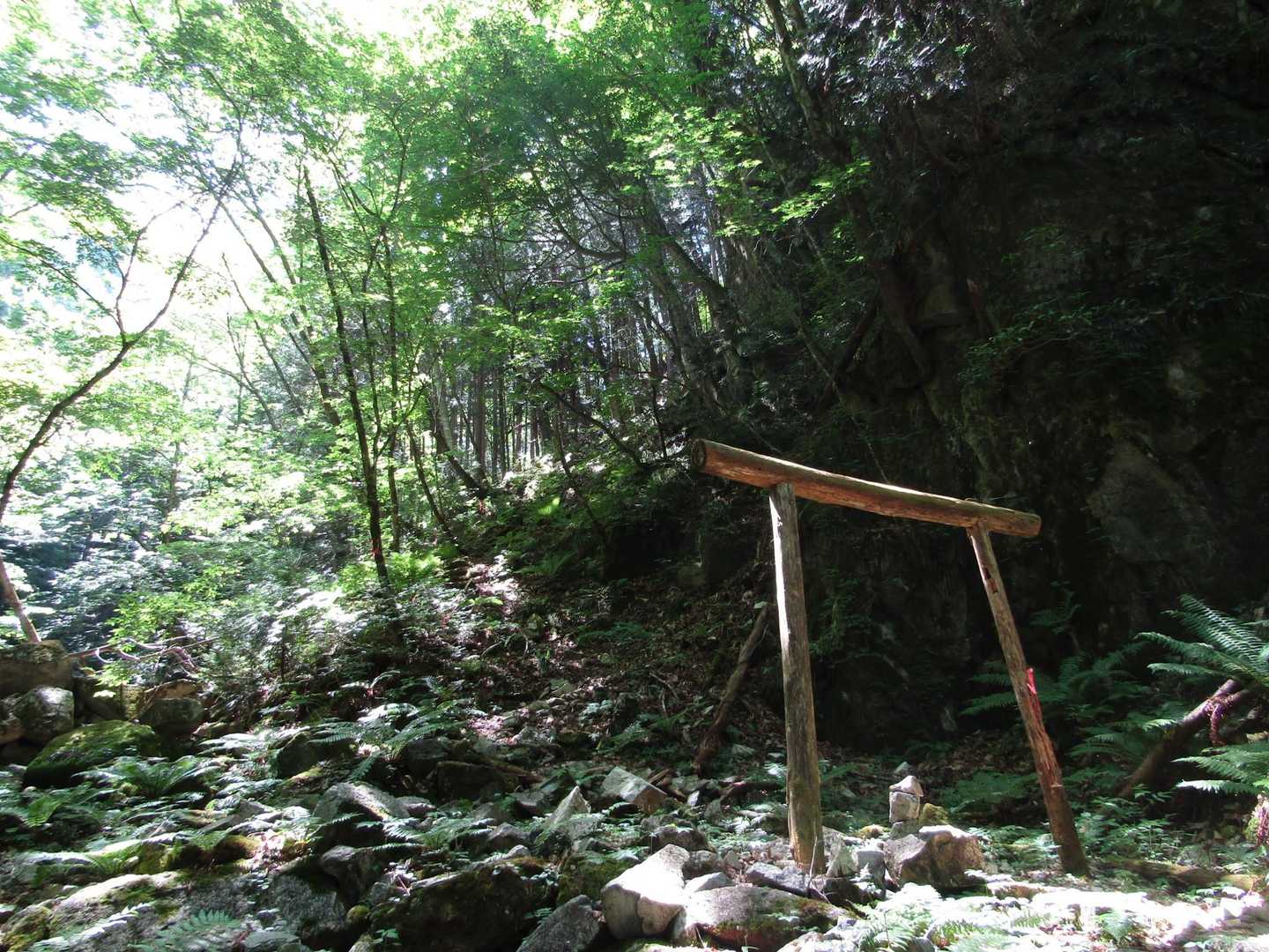 桜洞登山口-御前山 往復コースの写真