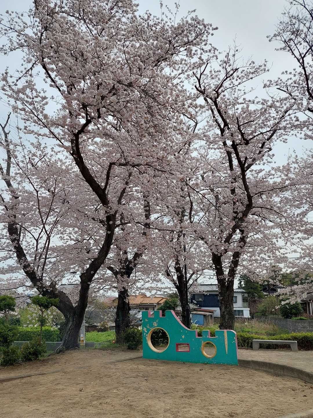 裏手は広場