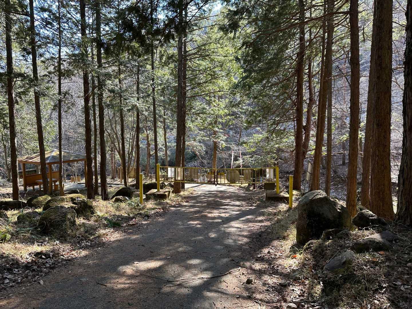 下山道も乾いていて、フカフカ落ち葉🍂で滑りやすかったです。
この辺りにもクライミング🧗‍♀️されている方が沢山いました。
大蔵経寺山の山林火災🔥は発生から15日たった今日、やっと鎮火🧯したそうです。
火を扱う動物は人間だけです…😔
