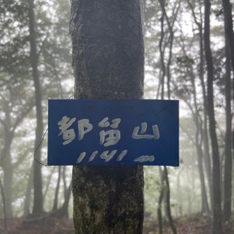 都留山🗻