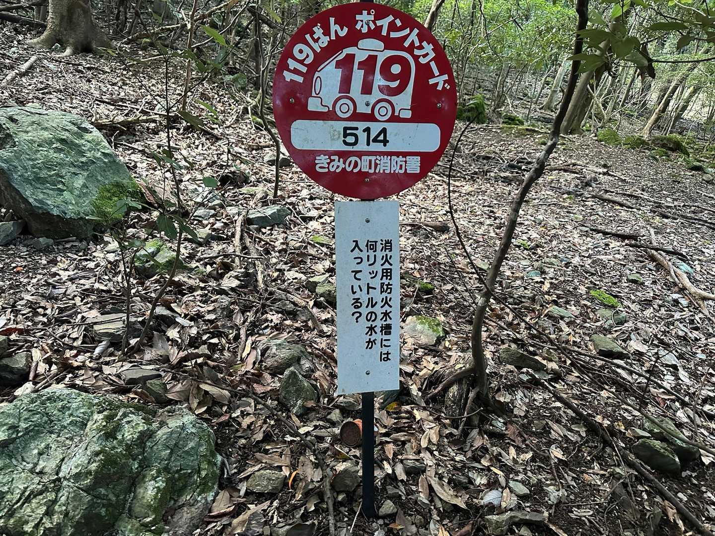 えっ⁉️