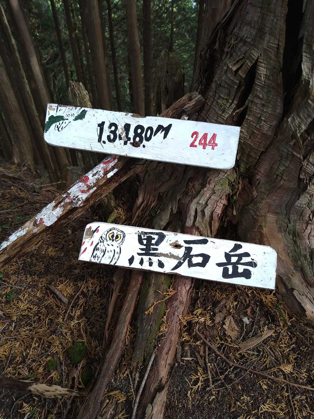 山頂！はじめて来ましたよ。😅
