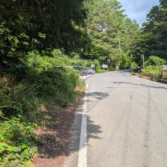 下山しました。
今日も楽しく歩けました。