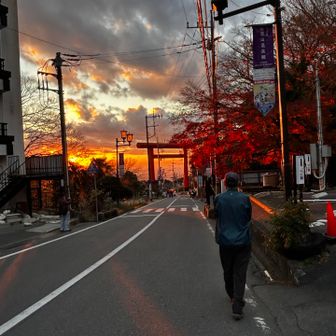 夕陽に染まった🍁と隊長さん😊