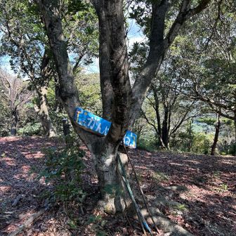 山頂広場✨
結構広くて右側には丸太ベンチが沢山あるので、
のんびりできます。
テーブルはありません！