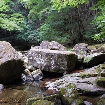 でかい岩がゴロゴロしてます🪨