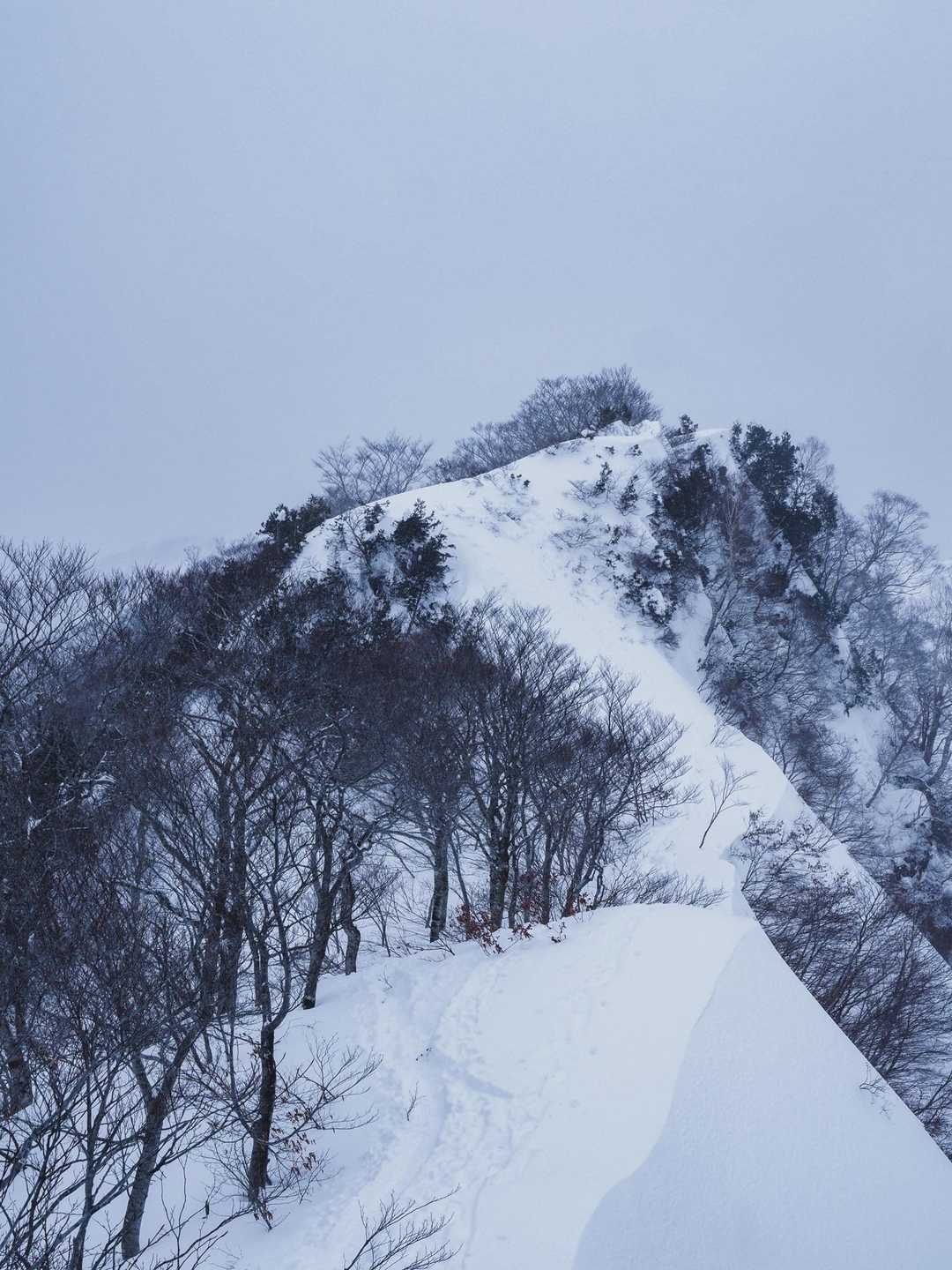 登山入口-熊穴沢ノ頭 往復コースの写真