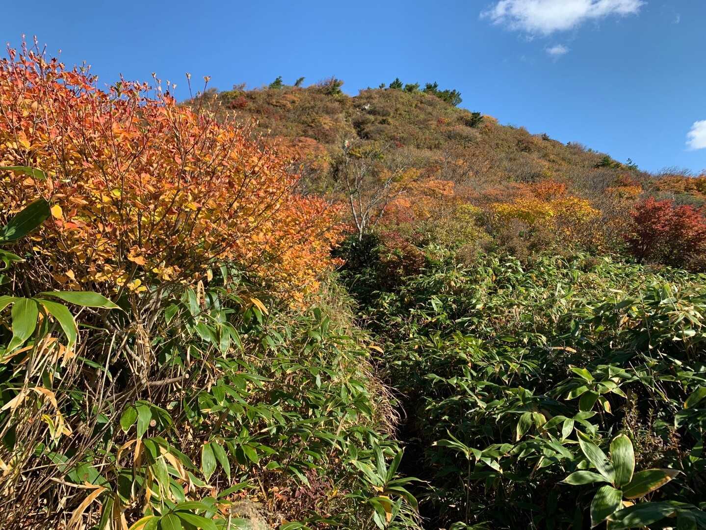 大関山の写真