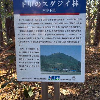 愛宕山山頂にはお社と写真の看板がありました