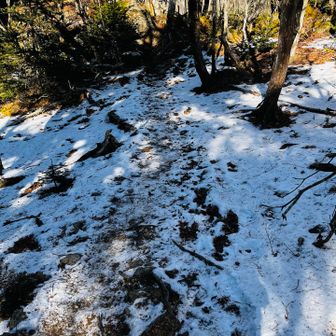 歩きます🚶‍♀️