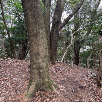障子岳南峰
進行方向はなりだと左だけど右奥