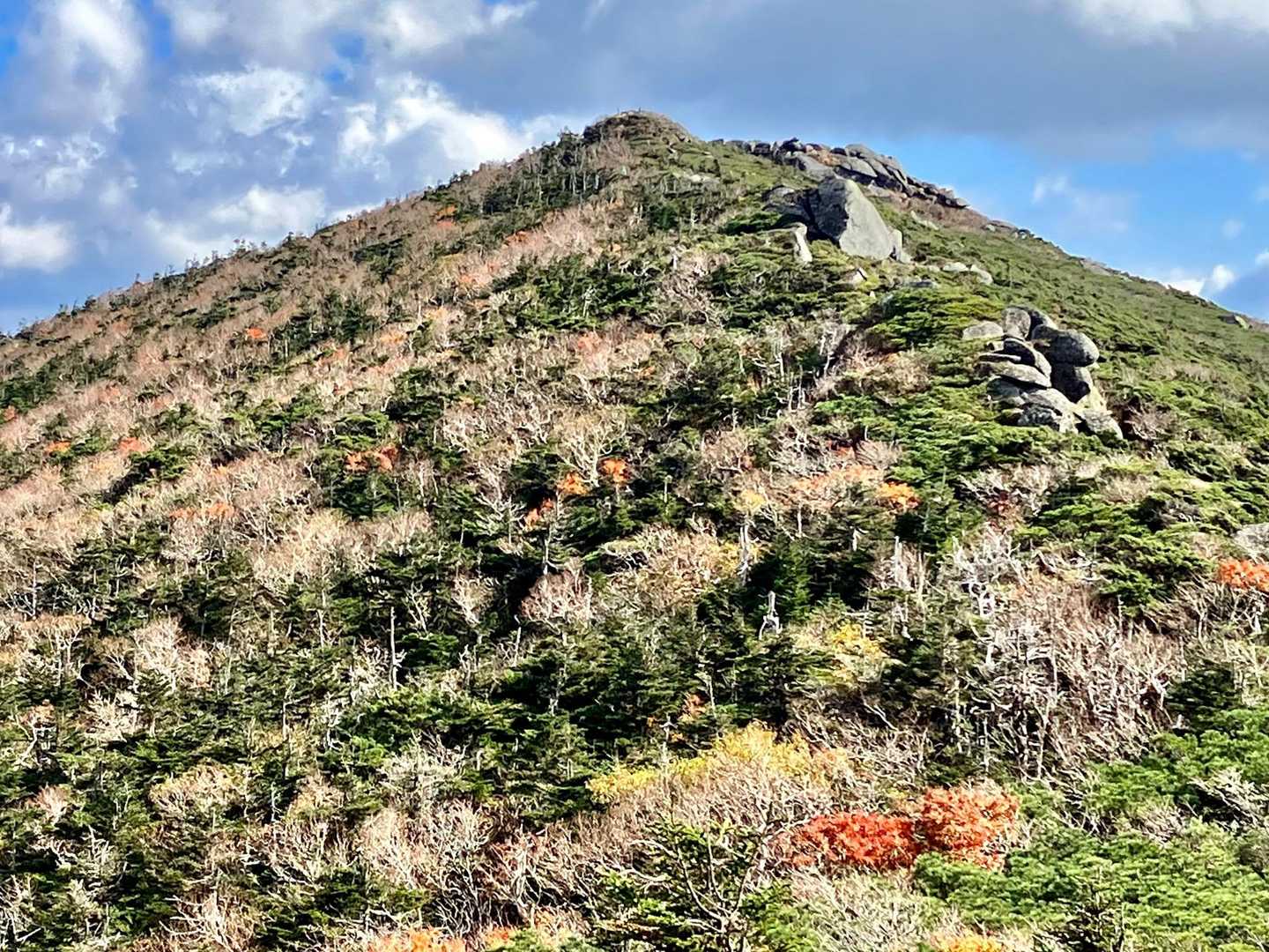 偽ピークからもう一度山頂を振り返る。
早池峰山セットでカッコいいお山です。