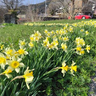 すっかり春の装い。。。