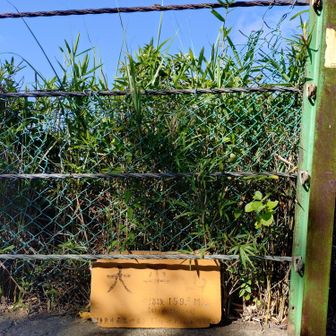 大平山