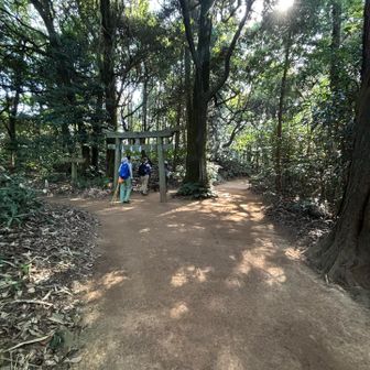 戸ノ上神社⛩️上宮への参道がいつ行っても綺麗に履き清められている👏

今日は戸ノ上神社🙏秋の大祭期間中。
しめ縄が綺麗になってた。
氏神さまにいつも護っていただいている感がある✨✨

