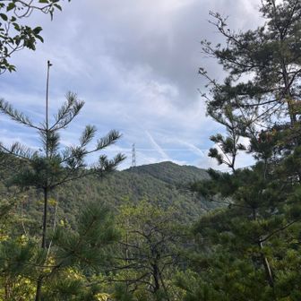 今から行く納古山が見えます⛰️