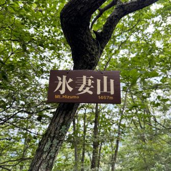 通過点の氷妻山⛰️