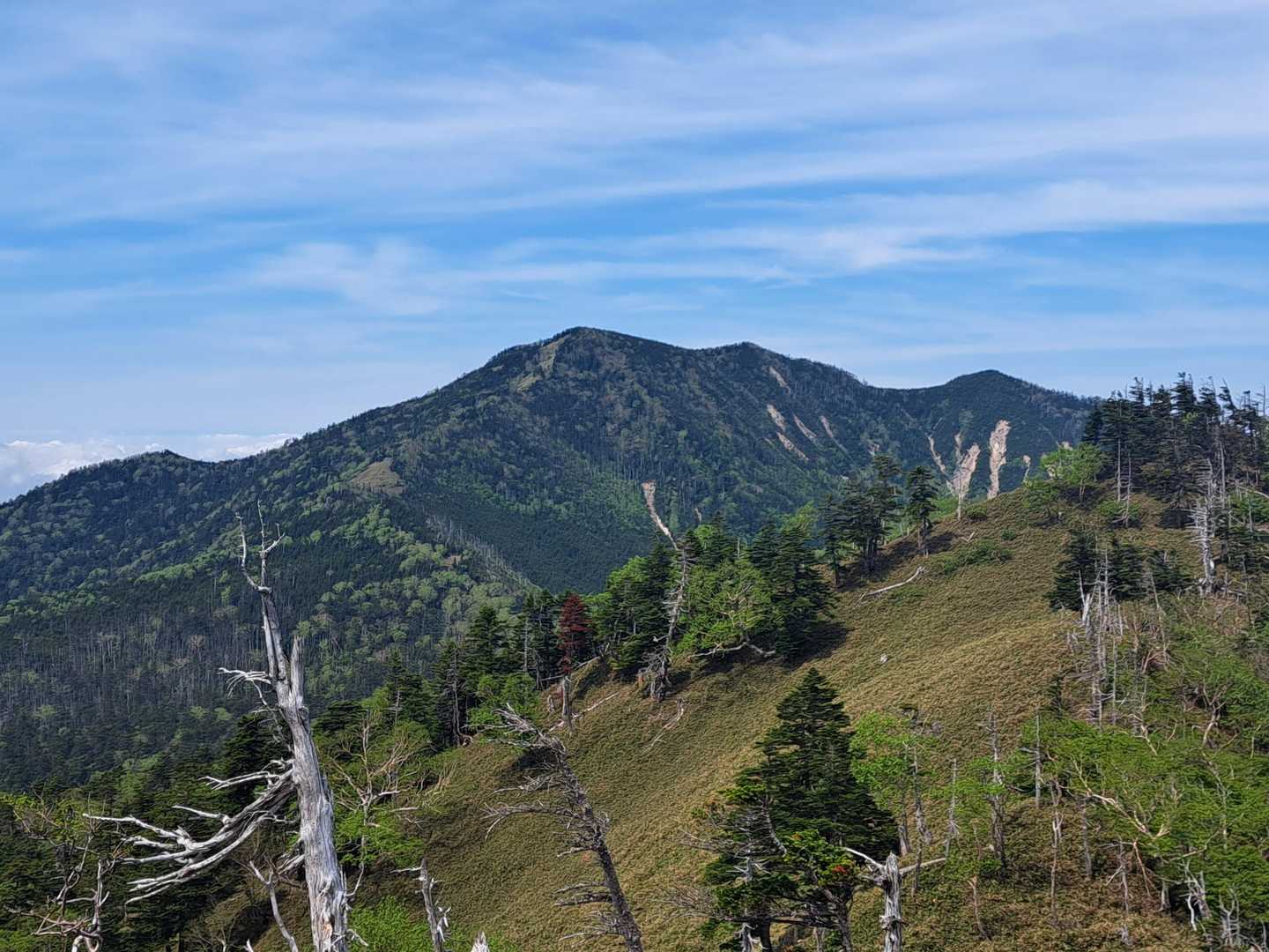錫ヶ岳