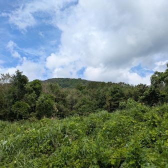 今日は結構効いたなあ、半袖であれに立ち向かうのは