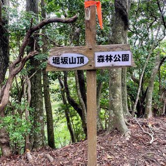 ここから下ってグレーピーク🩶高山へ