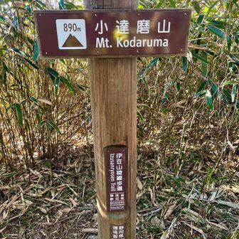 小達磨山〜