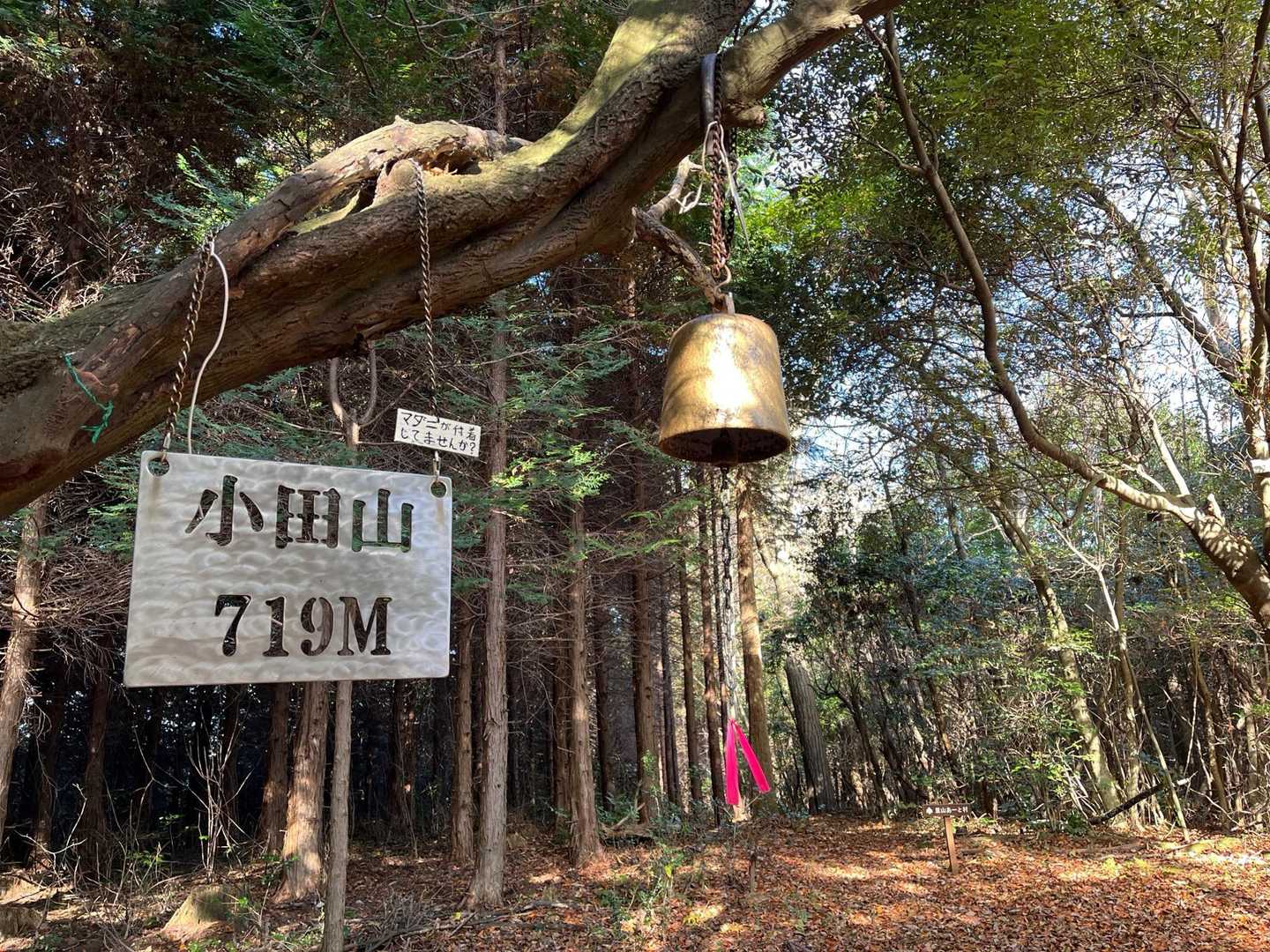 アドベンチャーをクリアして山頂に着きました⛰️🔔