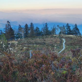 こう切り取ると有名な高山や湿原みたい