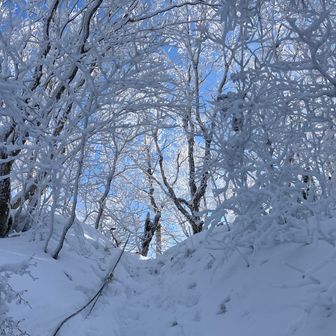 それにしても足が進まなくて🐢