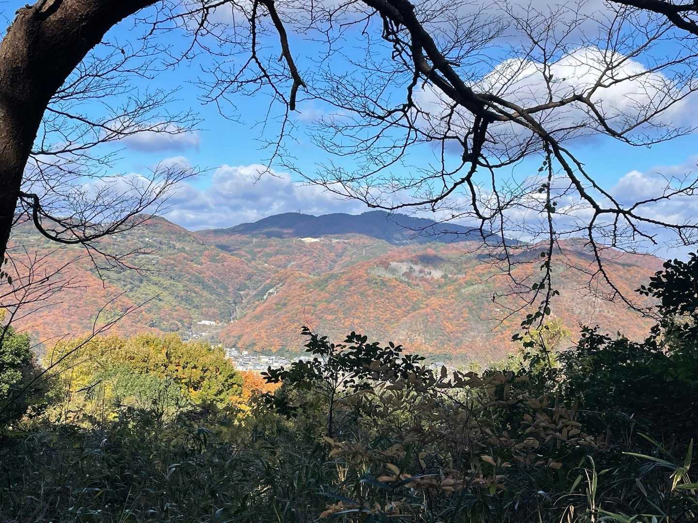 あちらのお山もキレイに紅葉🍁してる