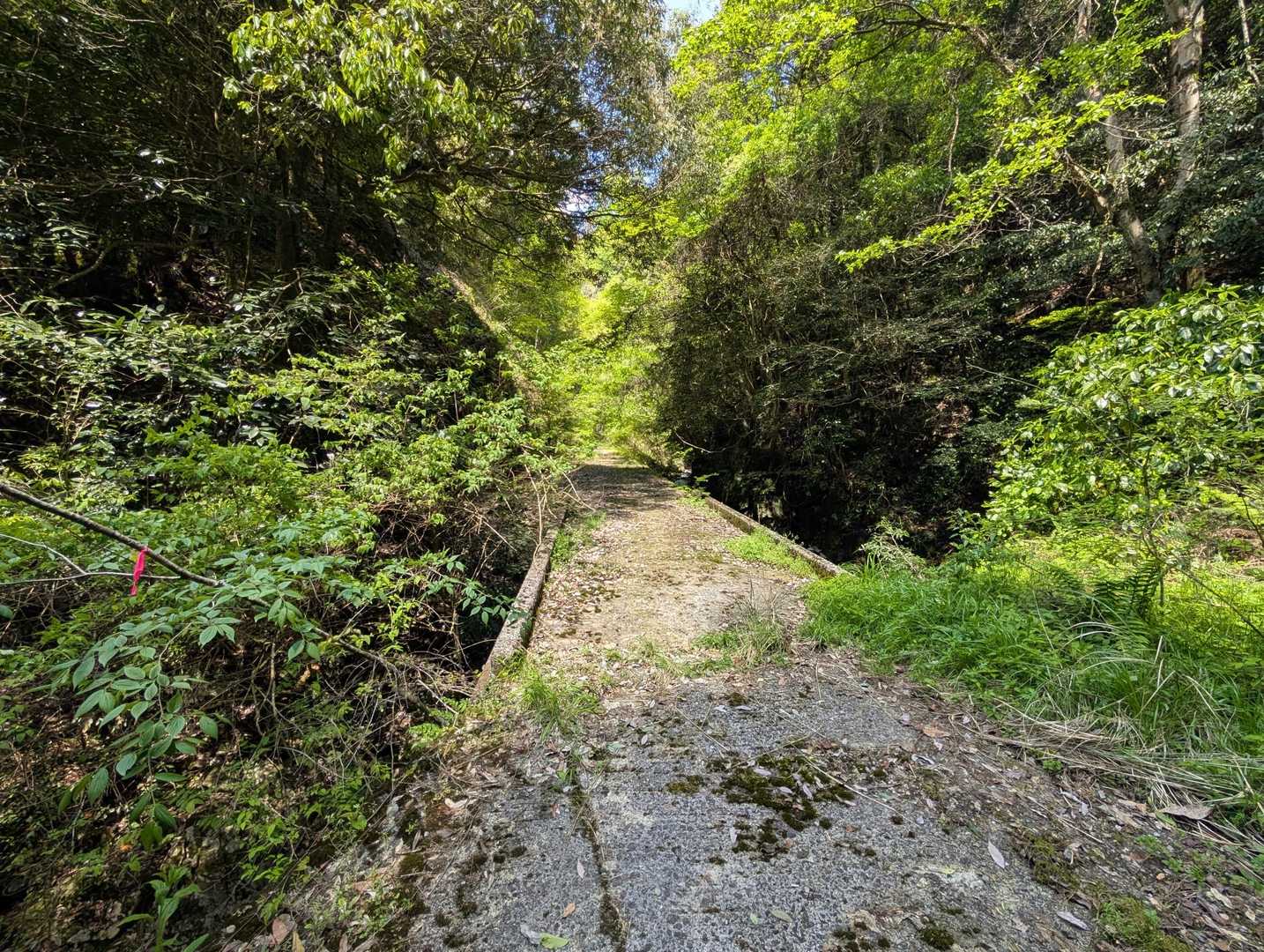 塔の岩 往復コースの写真
