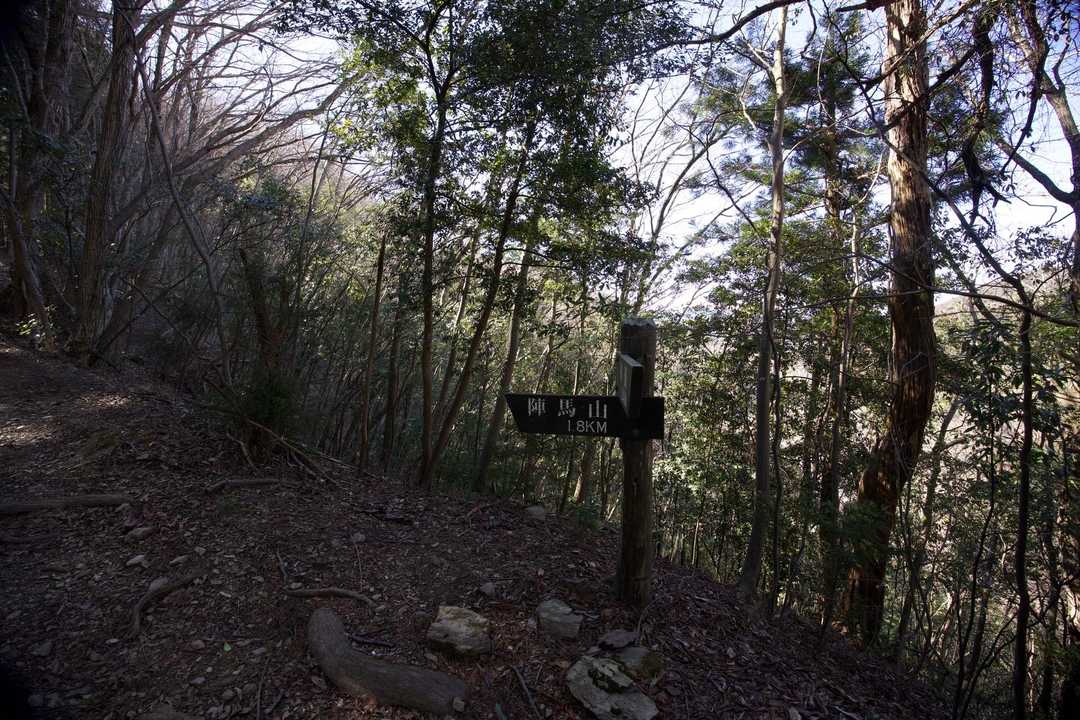 奥高尾〜裏高尾縦走（陣馬山・堂所山・富士見台・駒木野） の写真 8
