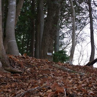 崖部分から、急坂の土の尾根へ縋り付くように乗り、なんとも救われた気分になった。途中で振り返ると、とても下降に使おうとは思えないルートで、通っておいて言うのも何だけれど、ここはNGだったかと…