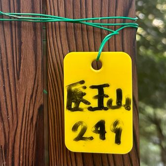 医王山に到着⛰️