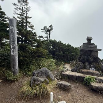 あっと言う間に山頂🙌