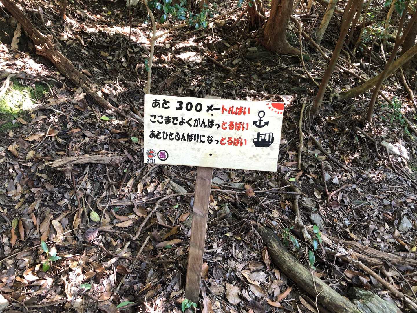 八郎岳 往復コースの写真