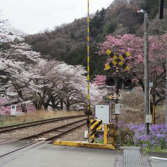 おお、良い感じ