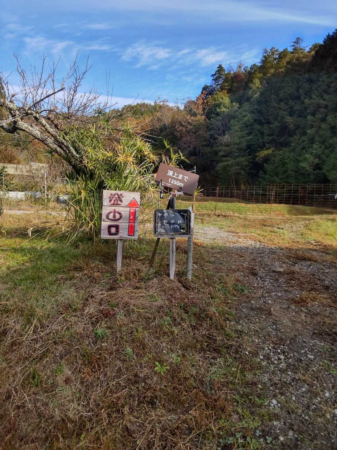 では   スタート…🚶‍♀️