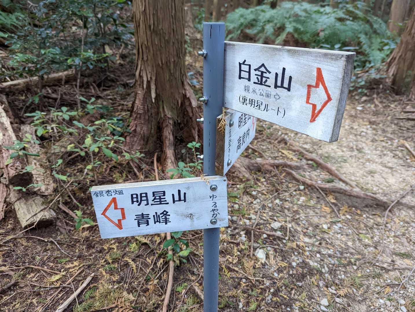 分岐　銀杏畑はゆるやかな道の方が早いです
急登は意外と距離があります