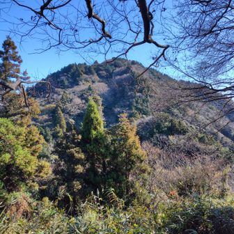 花沢山は枕状溶岩(海底火山)だったらしい