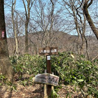 八森山