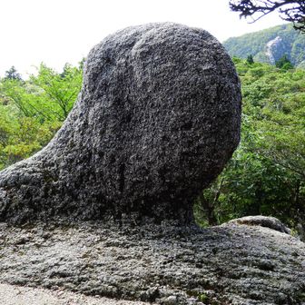 国見岳に戻ると📺️とそっくりな岩がある。根元の丸い石は離れた所にあった