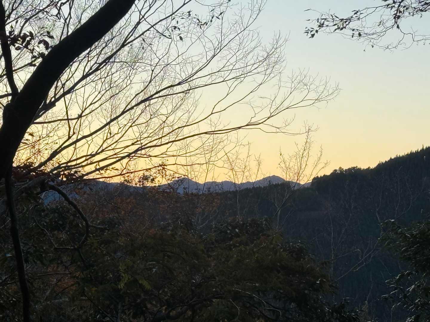 こっちは、静岡の高山とか？