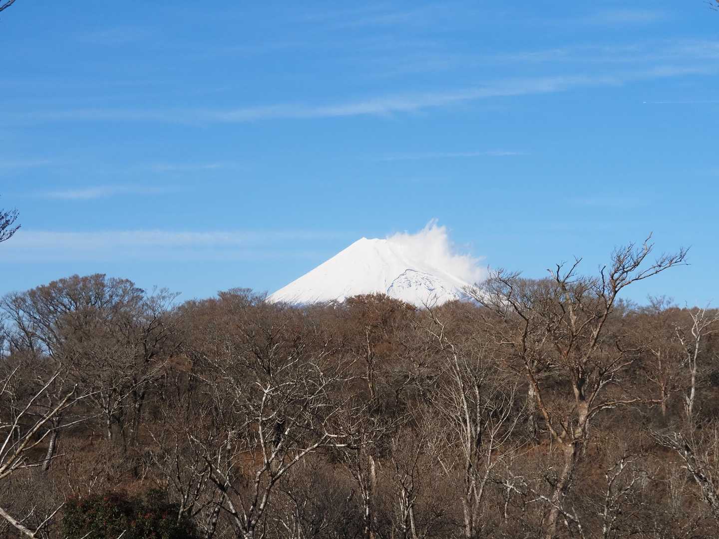 愛鷹山目指す途中の馬場平からの富士山🗻