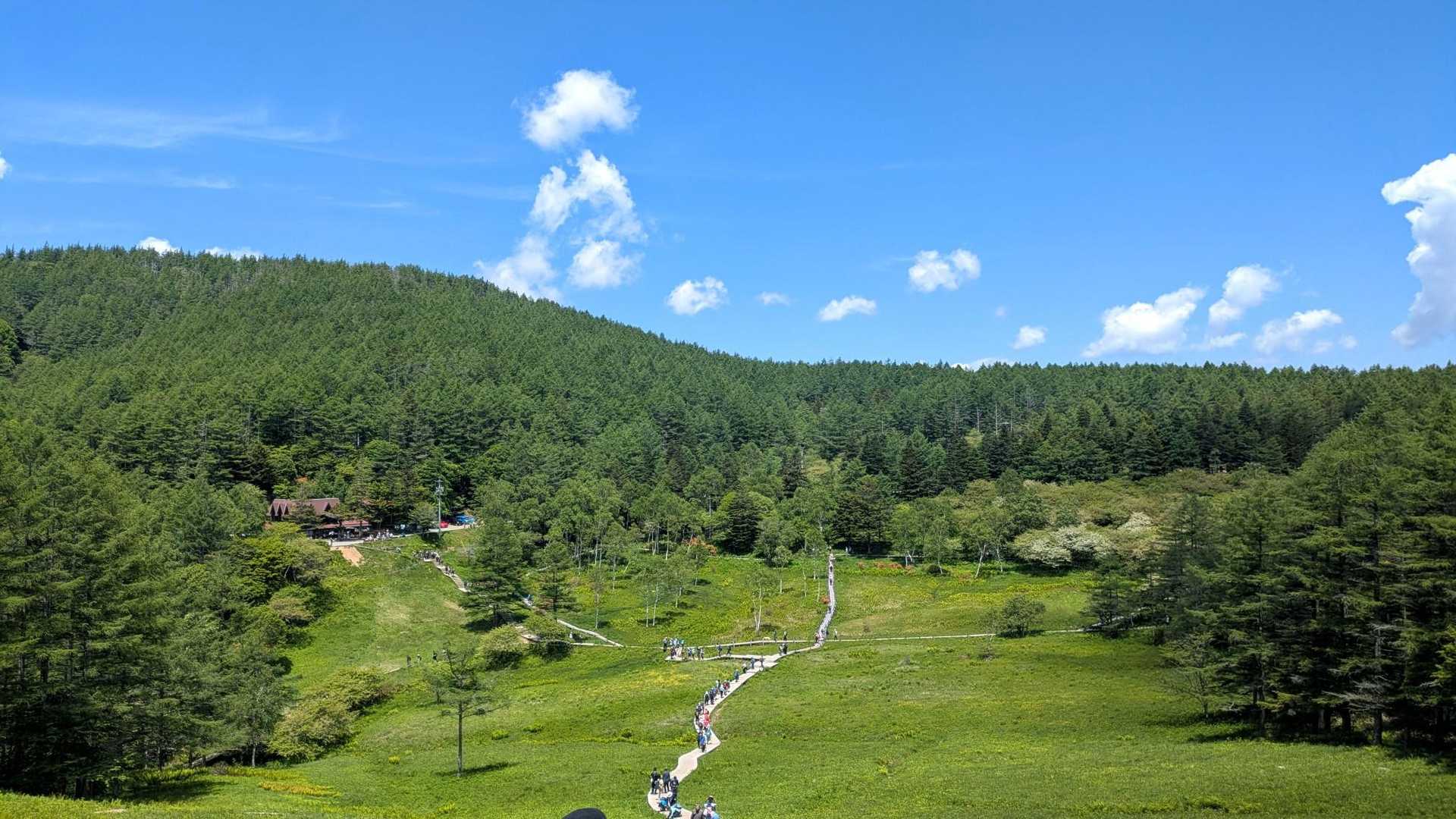 入笠湿原🌱💧に下りると↘