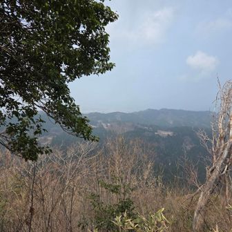 猪山から越山～馬髭山🗻